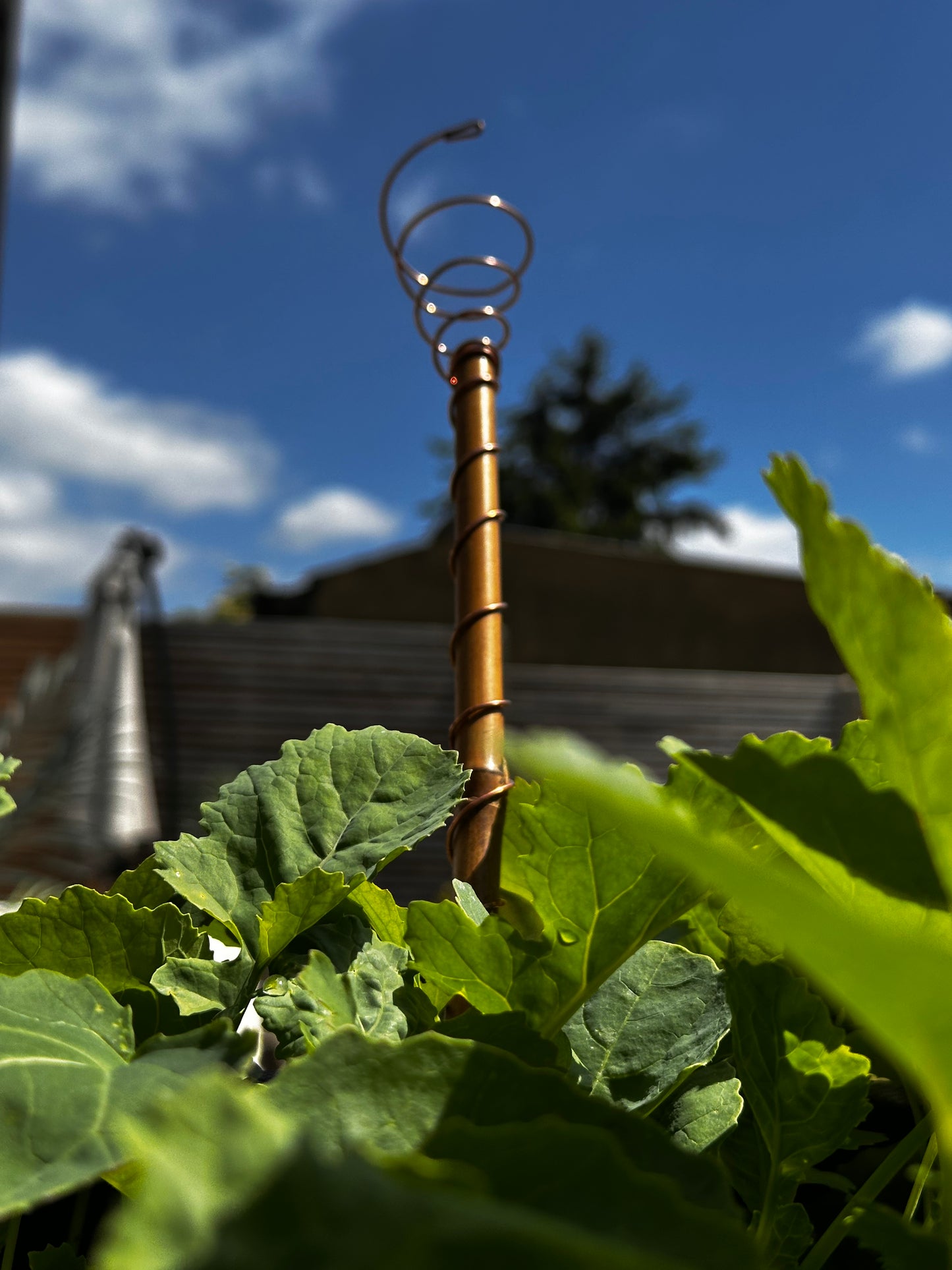 M - 18” / 45cm Ether-Grow Antenna Solid 100% Copper & Real Bamboo