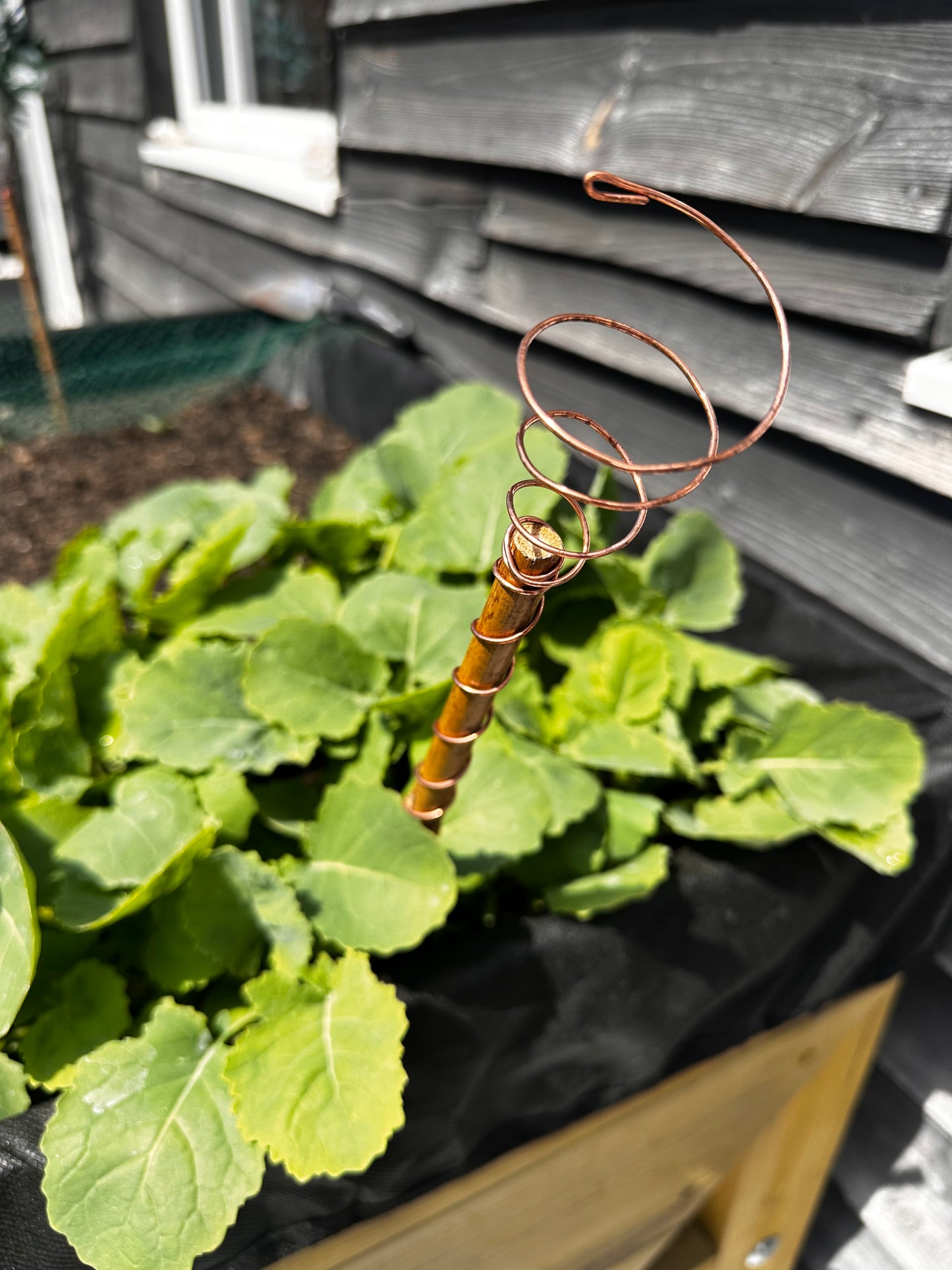 M - 18” / 45cm Ether-Grow Antenna Solid 100% Copper & Real Bamboo