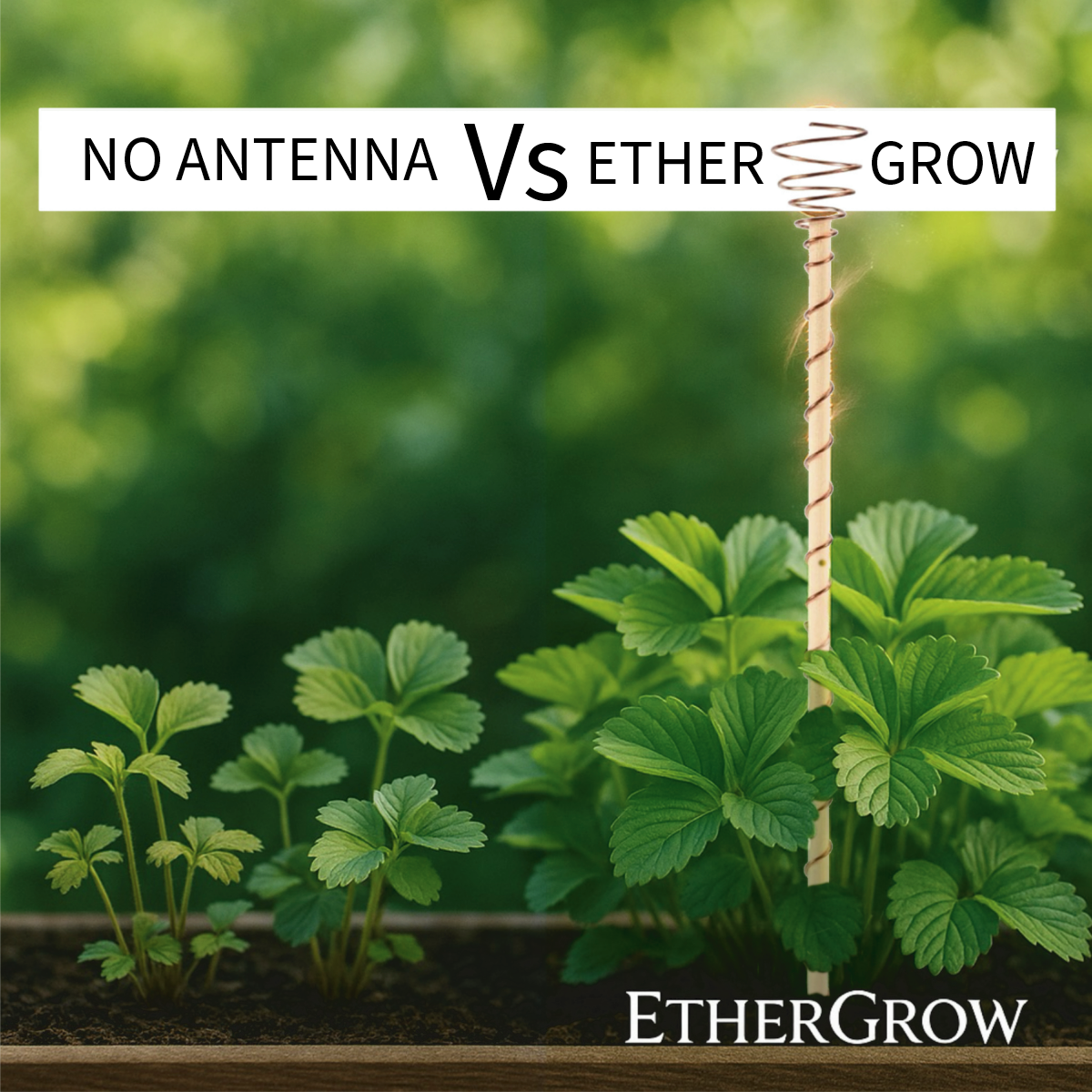 L - 24” / 60cm Ether-Grow Antenna Solid 100% Copper & Real Bamboo