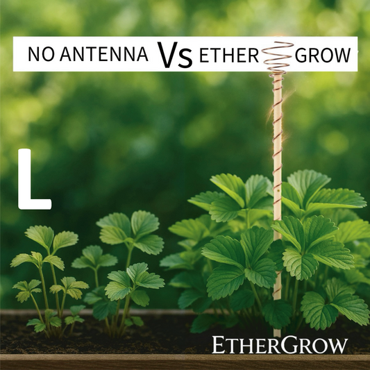 L - 24” / 60cm Ether-Grow Antenna Solid 100% Copper & Real Bamboo